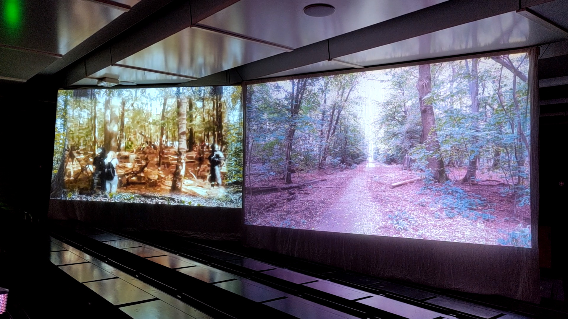 Two beamed videoscreens in a dark room with lines of seats. Videos showing Forest. One with overlayed smaller Foto with police and some people